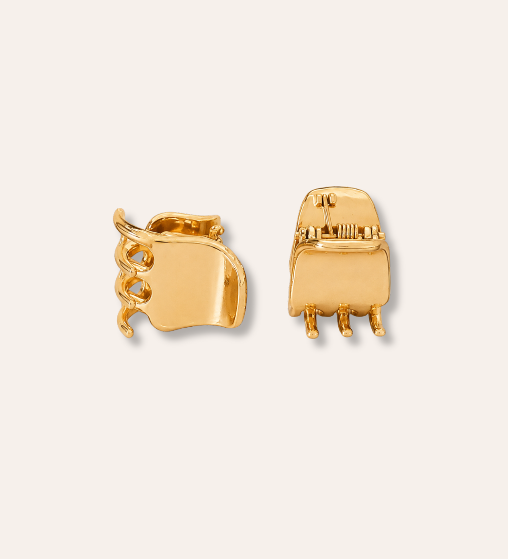 Rizo Mini Hair Claw i guldpläterad finish, 2-pack små hårklämmor